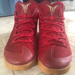 Carmelo Anthony Boys Red Shoes!